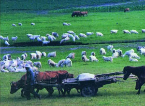 翻译价格多语言翻译(各语种翻译价格)